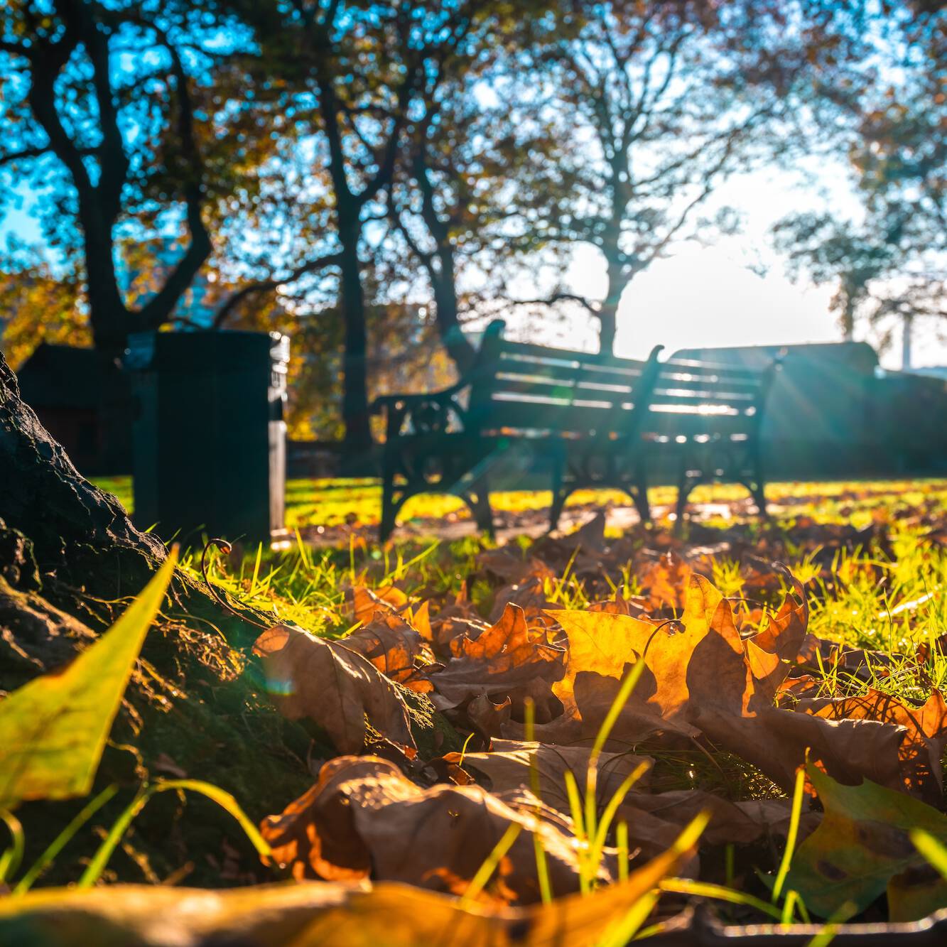 Sonnenlicht fällt durch herbstliche Bäume auf eine leere Parkbank – bunte Blätter am Boden