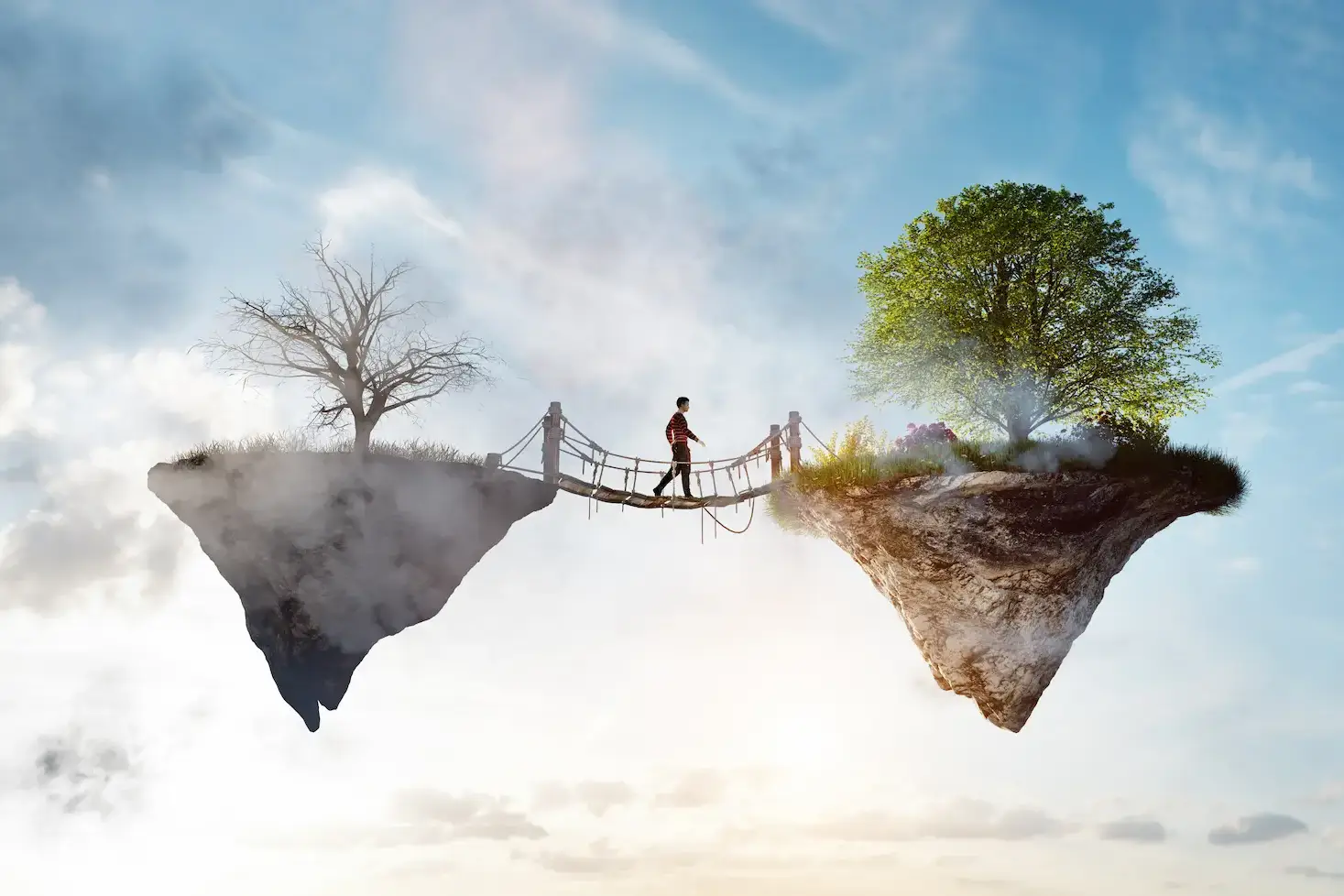 Person überquert eine Hängebrücke zwischen kahlem Baum und grünem Baum im Sonnenlicht