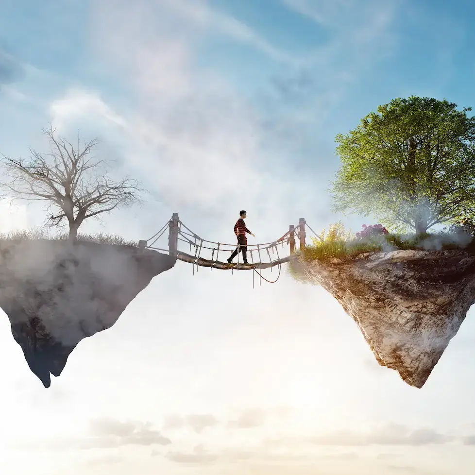 Person überquert eine Hängebrücke zwischen kahlem Baum und grünem Baum im Sonnenlicht