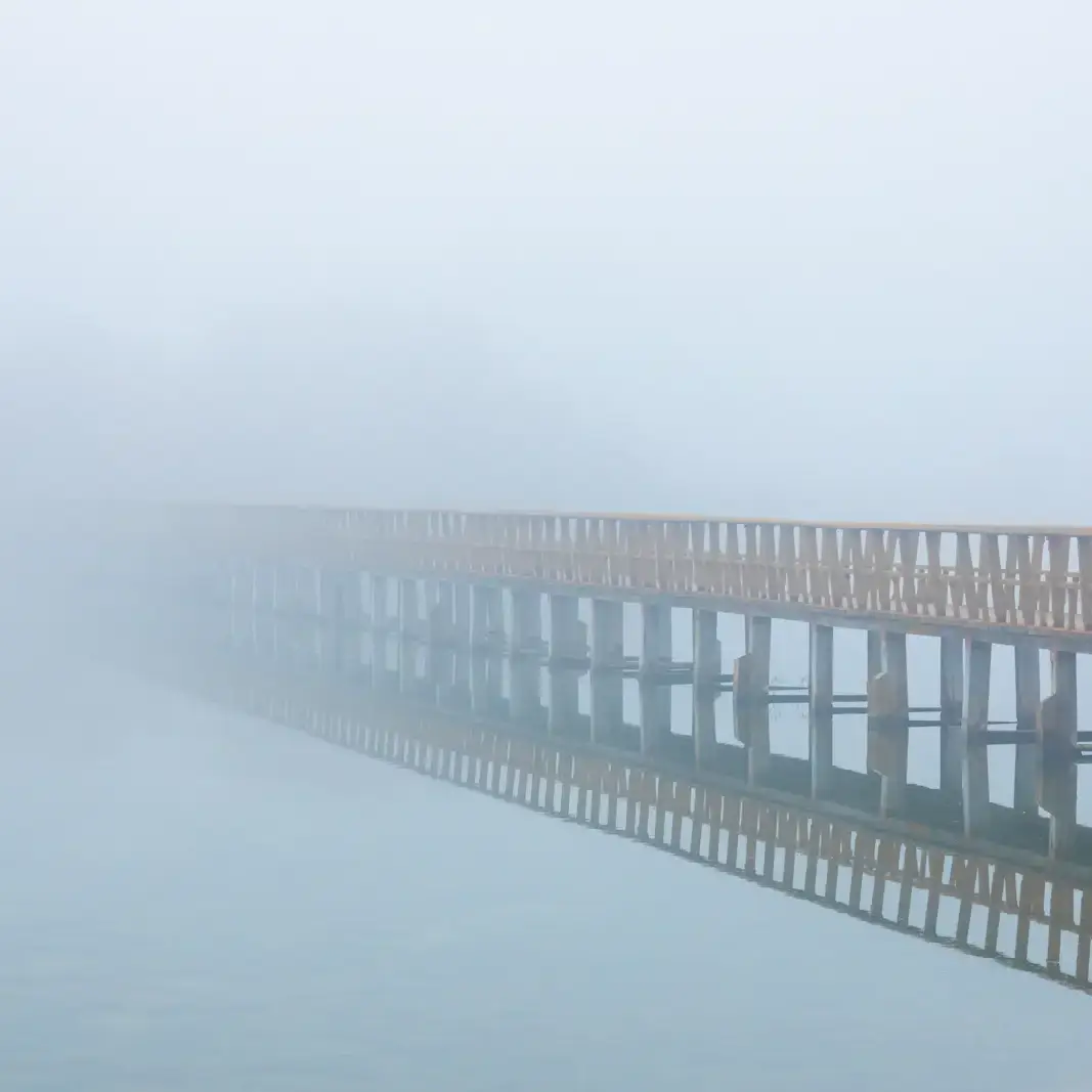 Holzbrücke verschwindet im Nebel über stillem Wasser