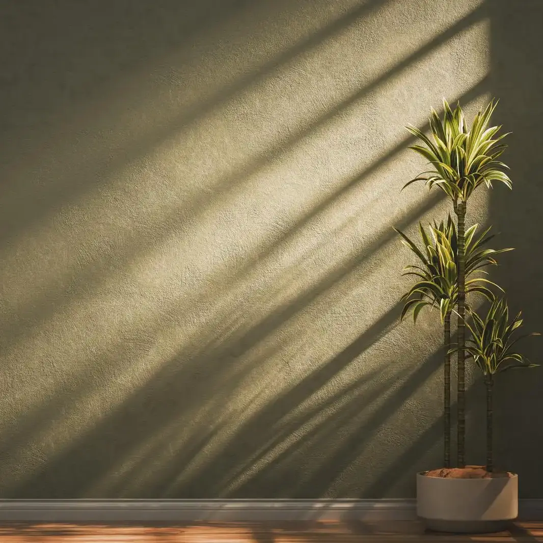 Warmer Lichteinfall mit Schatten und Zimmerpflanze – ruhige, klare Stimmung als Symbol für innere Ordnung und mentale Entlastung