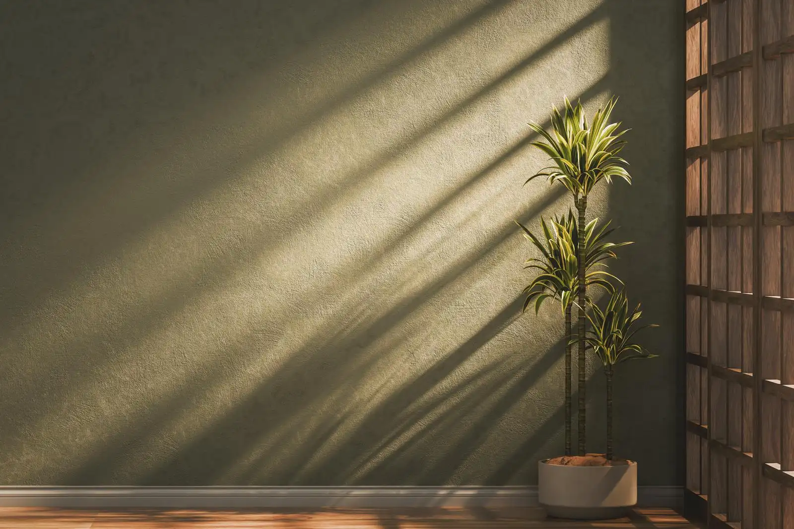 Warmer Lichteinfall mit Schatten und Zimmerpflanze – ruhige, klare Stimmung als Symbol für innere Ordnung und mentale Entlastung